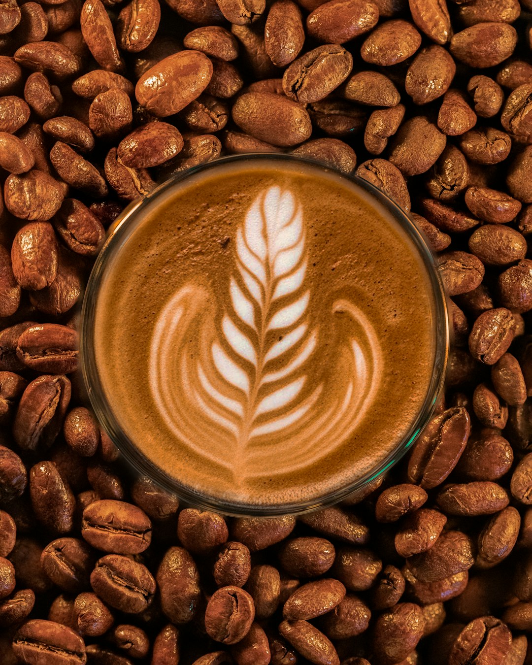 a-cup-of-coffee-on-top-of-a-pile-of-coffee-beans-zcvukv13o4m